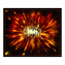 BOOM Poster poster