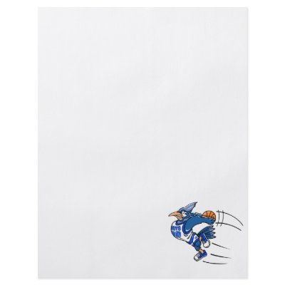 Boomer Blue Jay Flyers by BisforBirds