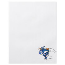 Boomer Blue Jay Flyers