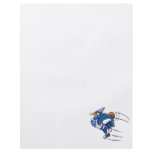 Boomer Blue Jay Flyers