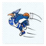 Boomer Blue Jay Print