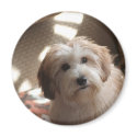 Boomer magnets by morningstar49 Boomer magnets