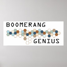 Boomerang Genius Posters