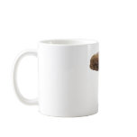 BooneFurCap081609 Coffee Mug