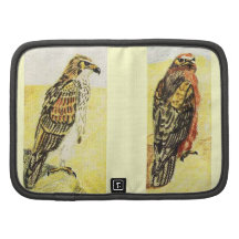 Booted Eagles, Pale And Dark Phase Folio Planner