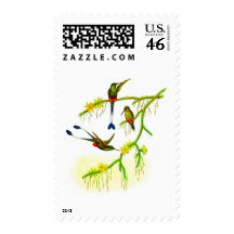 Booted Racket-tail Postage Stamps