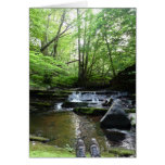 "Boots at a Stream" Greeting Cards