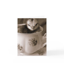 Boots In A Tea Cup,Easter cards