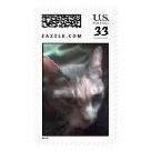 postcard - 