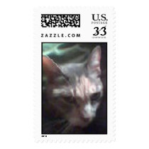 boots postage