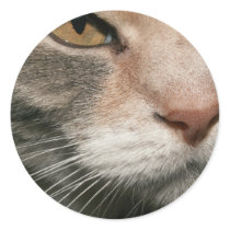 bootsy stickers