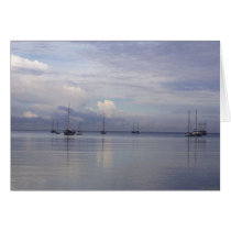 Boqueron Bay Puerto Rico cards by HLBeach Boqueron Bay Puerto Rico cards