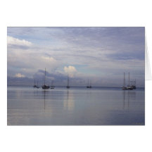 Boqueron Bay Puerto Rico Greeting Cards