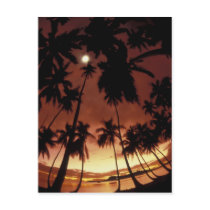 Bora Bora, French Polynesia Sunset shot through