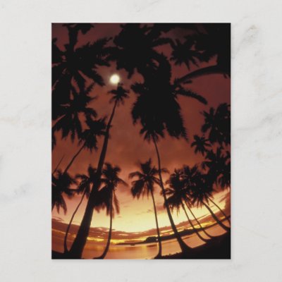 Bora Bora, French Polynesia Sunset shot through Post Cards