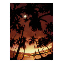 Bora Bora, French Polynesia Sunset shot through Post Cards