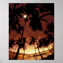 Bora Bora, French Polynesia Sunset shot through