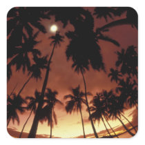 Bora Bora, French Polynesia Sunset shot through