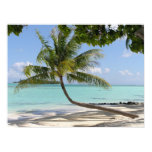 summer, island, tropical, bora bora, beach, palm,