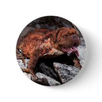 Bordeaux frog buttons by Junglegeorge Bordeaux frog buttons