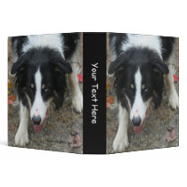 Border Collie #1 Custom Photo Avery Binder by SmilinEyesTreasures Border Collie #1 Custom Photo Avery Binder