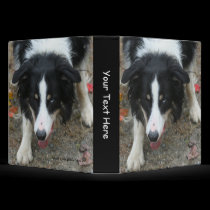 Border Collie #1 Custom Photo Avery Binder