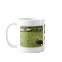 Border Collie 8M054D-05, Border Collie 8M052D-0... mugs
