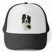 Border Collie 9A015D-24 hats