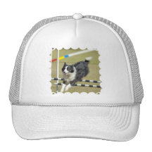Border Collie Agility  Baseball Hat