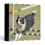 Border Collie Agility Binder binders