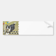 Border Collie Agility  Bumper Sticker