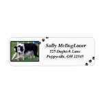 Border Collie Agility Return Address Labels
