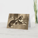 Border Collie
                                       and Kittens Greeting Card