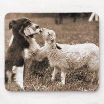 "Border Collie and Lamb"~Mousepad