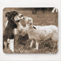 "Border Collie and Lamb"~Mousepad
