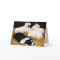 "Border Collie and Sheep" Dog Art Greeting Card by CharlottesWebArt "Border Collie and Sheep" Dog Art Greeting Card