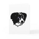 Border collie art: black/white, blue eyes cards by eyecontact Border collie art: black/white, blue eyes cards