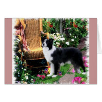 Border Collie Art Gifts cards by DogsByDezign Border Collie Art Gifts cards