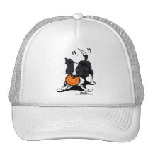 Border Collie at Play Mesh Hats