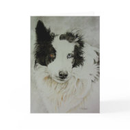 Border Collie/Aussie Greeting Card