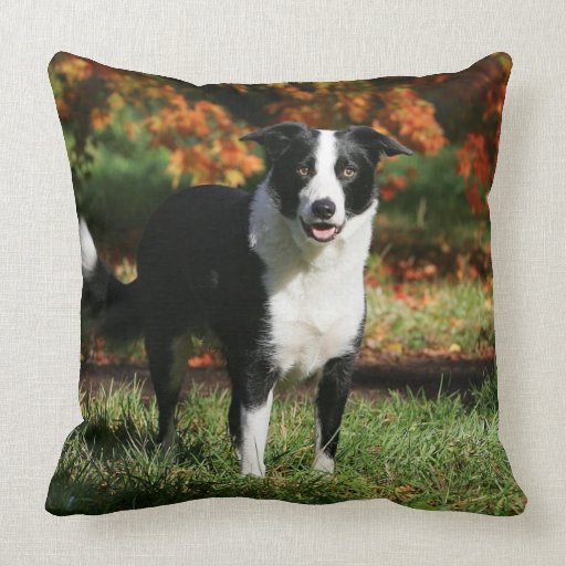 border collie throw pillow