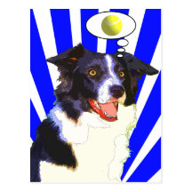 Border Collie (Ball) Post Cards