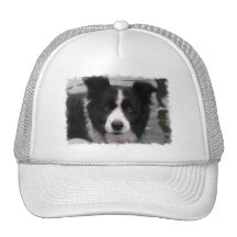Border Collie Baseball Cap Hat