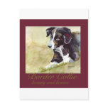 Border Collie Beauty and Brains postcards