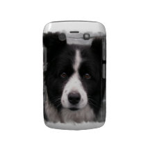 Border Collie Blackberry Bold Case