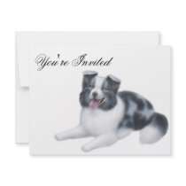 Border Collie Blue Merle Invitation