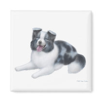 Border Collie Blue Merle Magnet