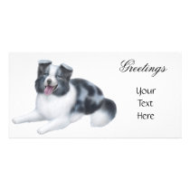 Border Collie Blue Merle Photo Card photo cards by twopurringcats Border Collie Blue Merle Photo Card photo cards