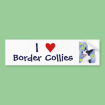 Border Collie Bumper Sticker bumper stickers