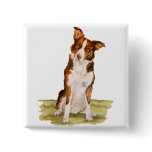 Border Collie buttons